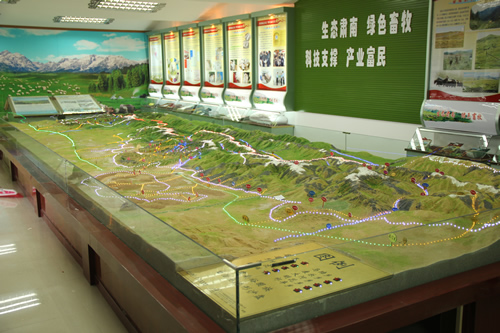 ����ɳ�P(p��n)